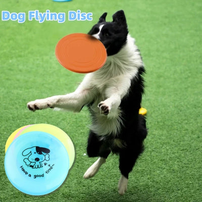 Silicone Flying Saucer Funny Pets Dog Cat Toy Dog Game Flying Discs Resistant Chew Puppy Training Interactive Pet Supplies - IceAndFire